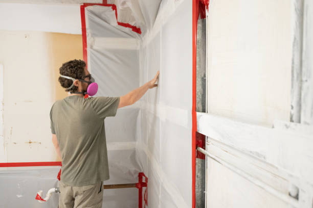 Best Post-Construction Mold Inspection  in Council Bluffs, IA