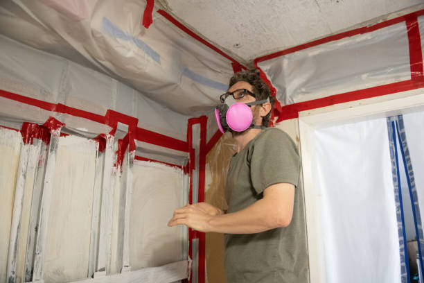 Best Water Damage & Mold Remediation  in Council Bluffs, IA