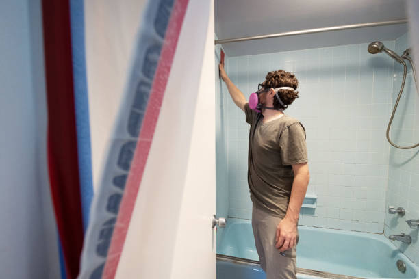 Best Industrial Mold Remediation  in Council Bluffs, IA