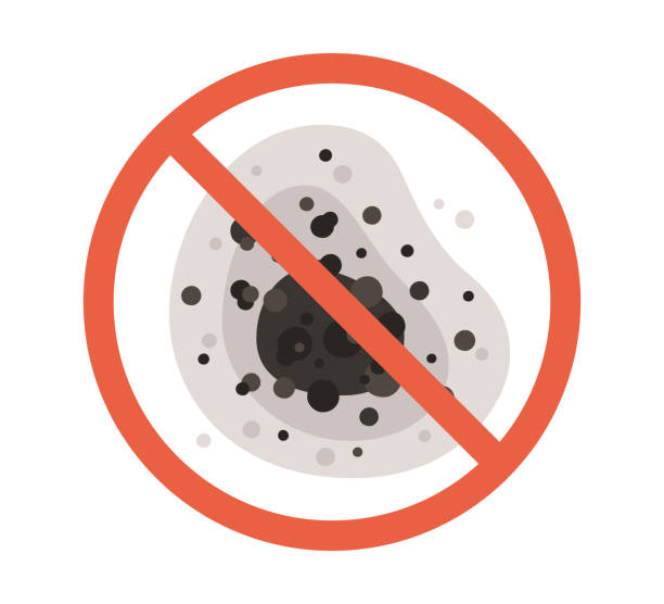 Best Forensic Mold Investigation  in Council Bluffs, IA