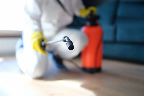 Best Air Quality Testing for Mold Spores  in Council Bluffs, IA