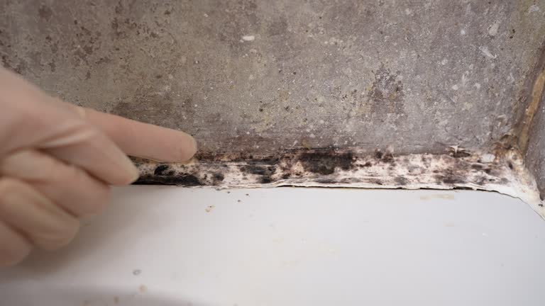 Best Residential Mold Inspection & Testing  in Council Bluffs, IA