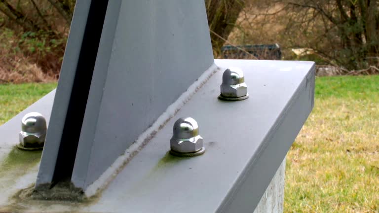 Reliable Council Bluffs, IA Mold Removal Solutions